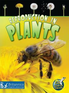 Reproduction-in-Plants